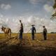 rachel morrison mudbound
